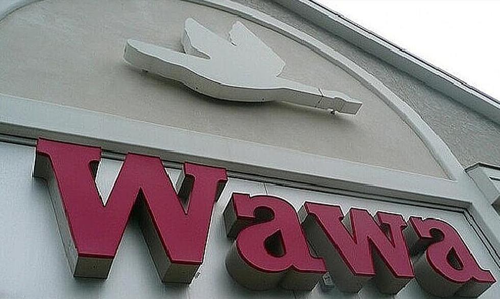 Wawa is Already Bringing Back a Thanksgiving Fan Favorite