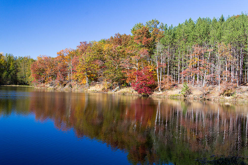 4 Unique Places to See the Beautiful Colors of Fall in NJ