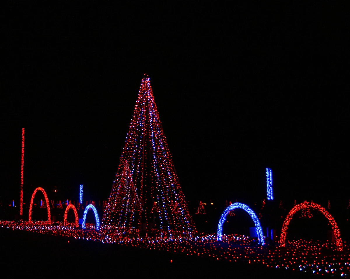 7 Best Places to See Christmas Lights in South Jersey