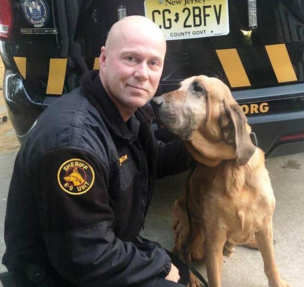 Retired Atlantic County Sheriff's K9 Bloodhound Duke Dies