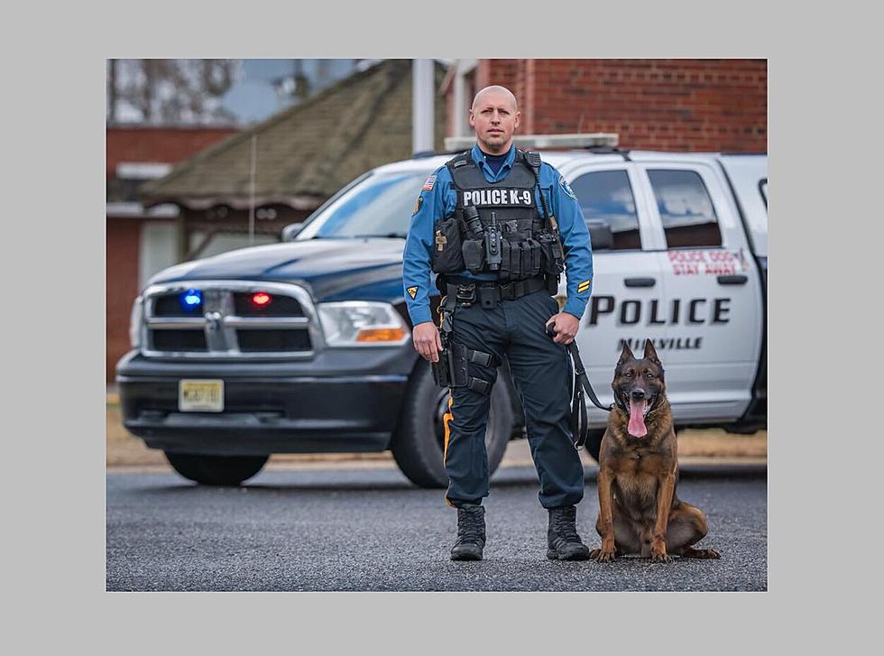 Millville Police Mourn the Sudden Death of K-9 Dog Chase 