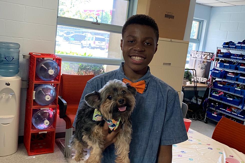 NJ Teen Makes Mini Bow Ties to Help Rescues Get Adopted