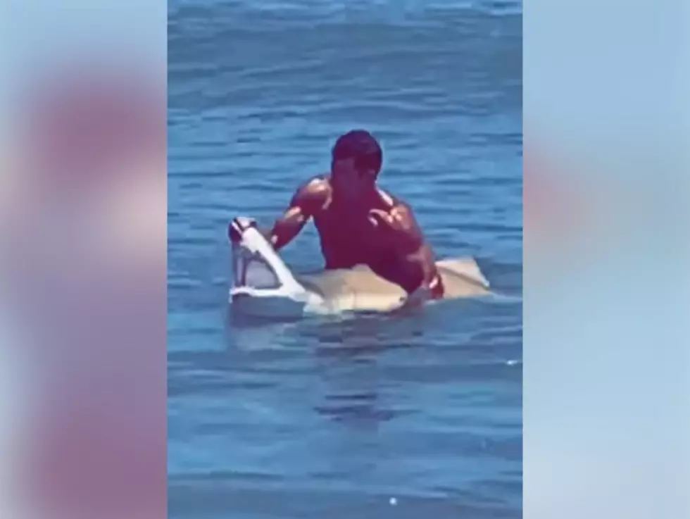 Swimmer Catches 8-foot Shark with his Bare Hands, Poses for Pictures