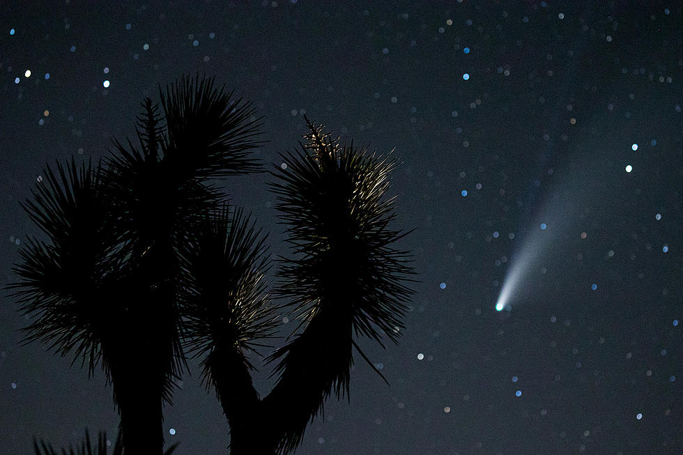 NEOWISE Comet is Closest to Earth This Week – How to See it