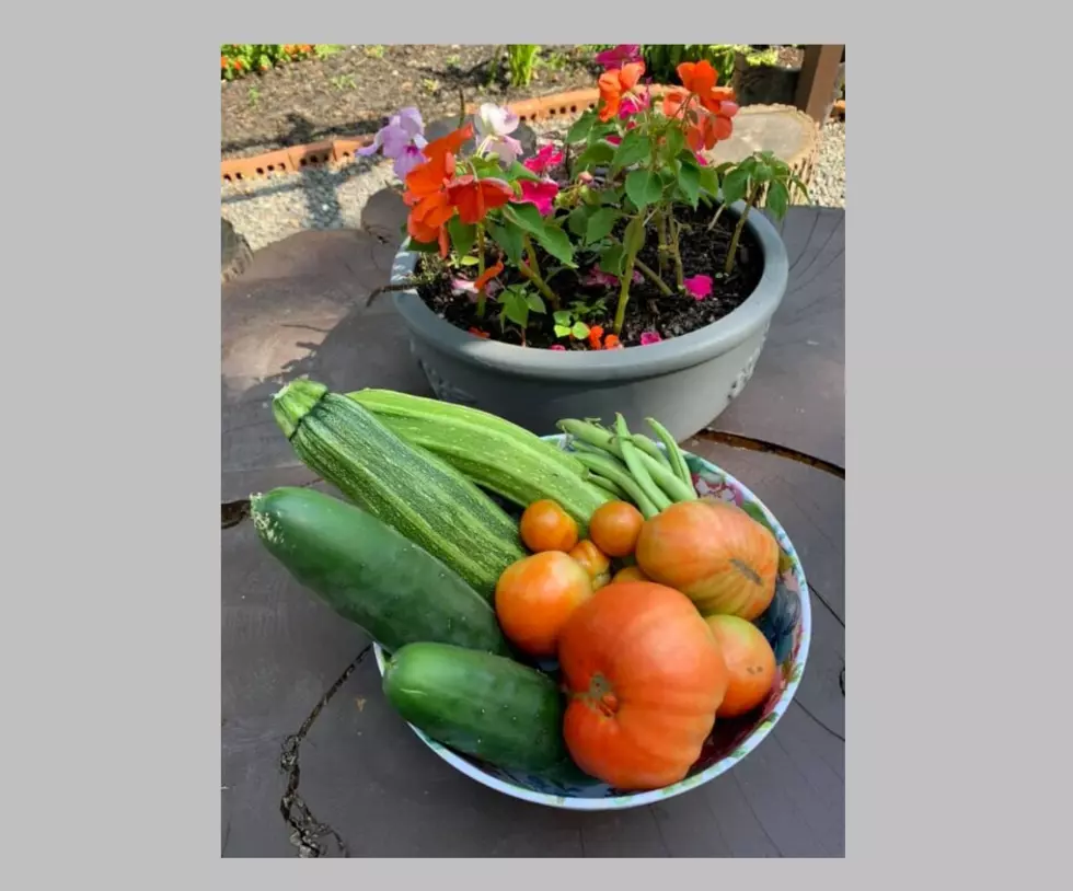 See What Lite Rock Listeners Grew in Their Gardens