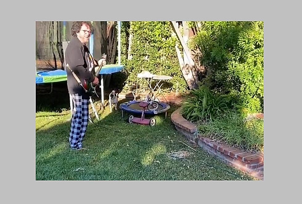 Toto Guitarist's Hilarious Response to Neighbor's 7am Leaf Blower