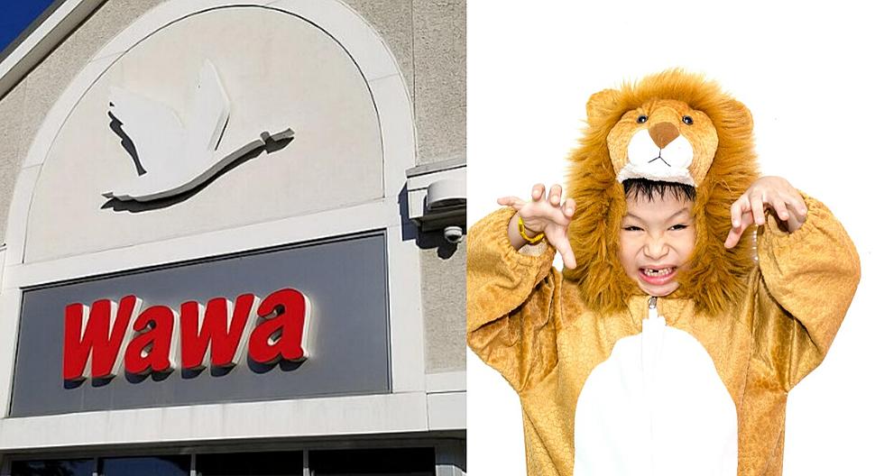 Wawa Will Treat Boys and Ghouls To Halloween Freebies Saturday