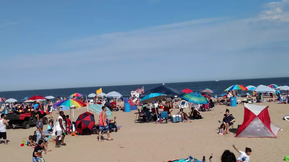 2021 Beach Tag Guide For Atlantic and Cape May Counties