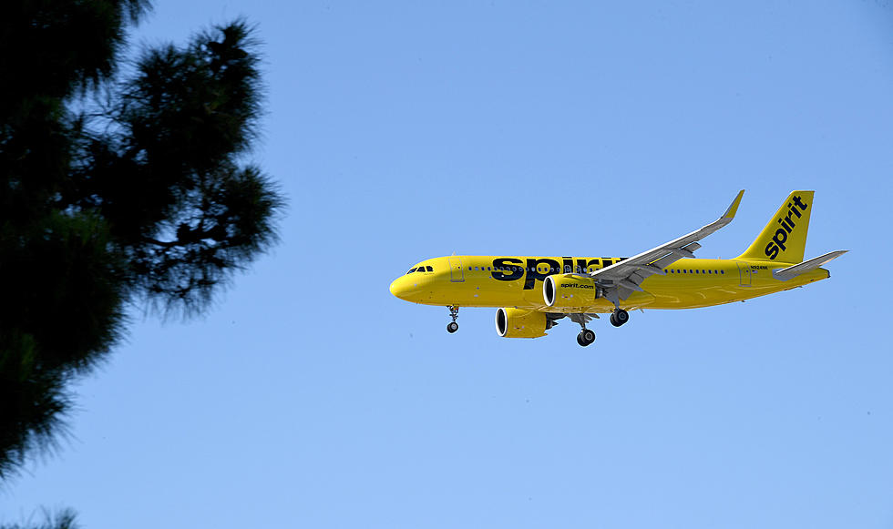 Spirit Airplane Damaged During Bird Strike Returns to AC