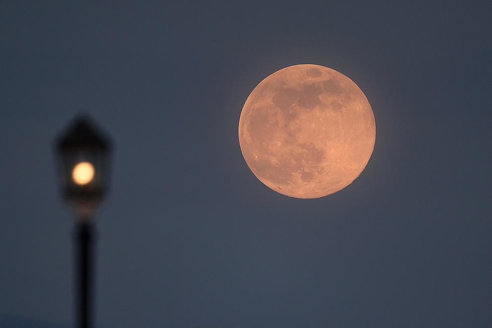 Look Up for a Pink Super Moon, Meteor Shower Over South Jersey This Month