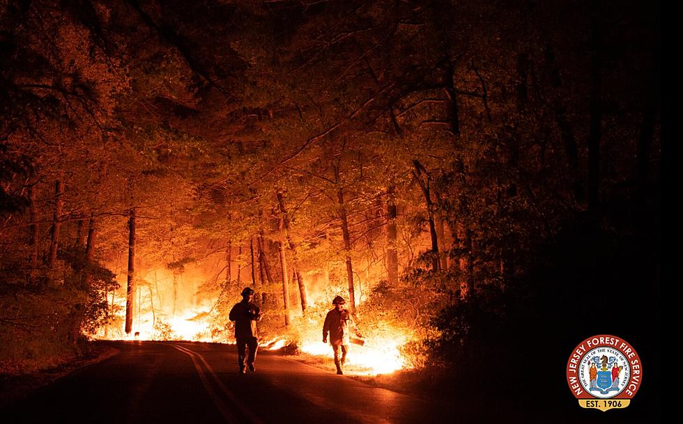 Stunning NJ Forest Fire Service Photos Show Intensity of Little Egg Harbor, NJ Fire