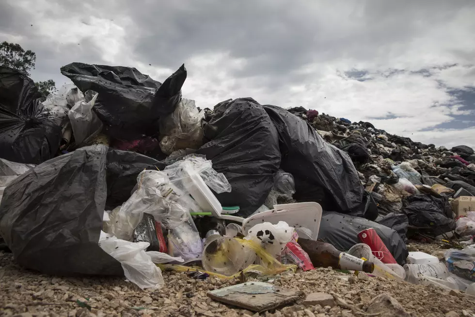 Vineland Woman Loses Wedding Ring, Trash Pickers Find It in Landf