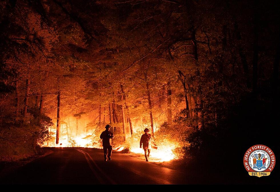 Stunning NJ Forest Fire Service Photos Show Intensity of Little Egg Harbor, NJ Fire
