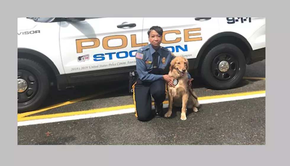 Stockton K-9 Sniffs Her Way to Winners Stand in Competition