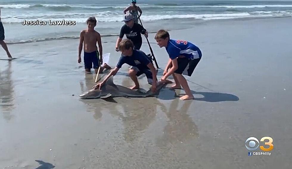 Kid Catches Shark on North Wildwood Beach Then Does Right Thing