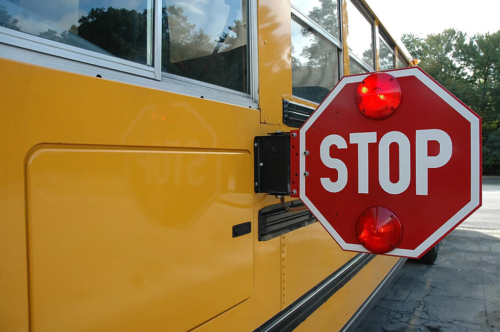 Please Stop For School Buses When Lights & Stop Sign Are On
