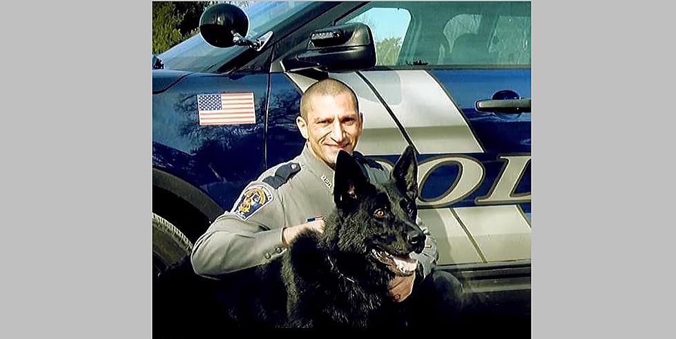 K-9 Dog Storm Dies Days After Retiring From the Police Force
