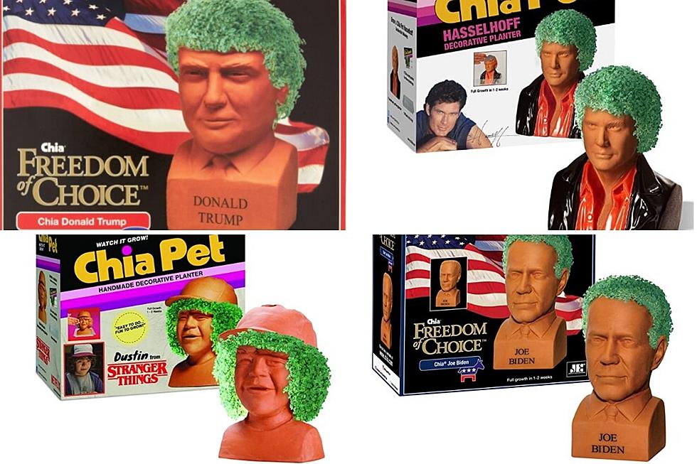 Need a Gag Christmas Gift? See 20 Weirdly Funny Chia Pets