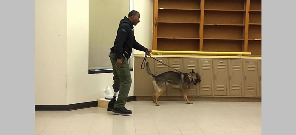 Atlantic City Officer is First K9 Cop in NJ with Prosthetic Leg