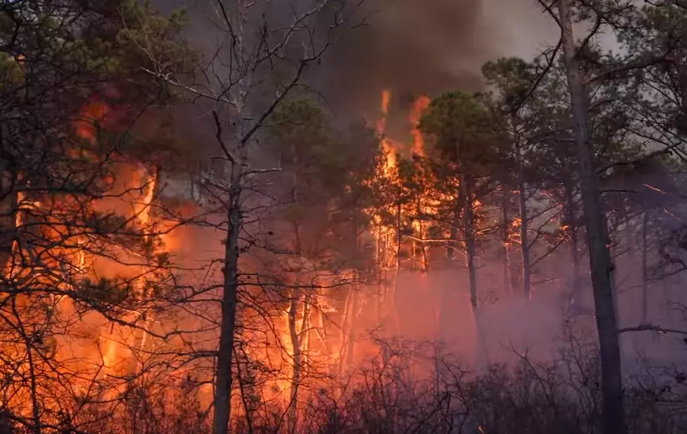 Firefighters Try to Contain Major Fire at Wharton State Park