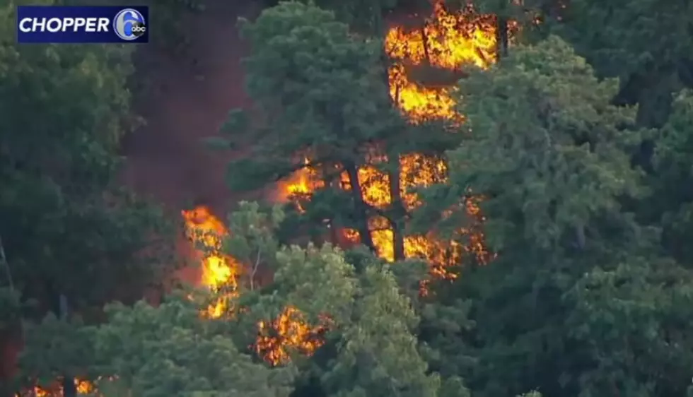 Massive fire that destroyed parts of Wharton State Forest in New Jersey is among News stories of the week