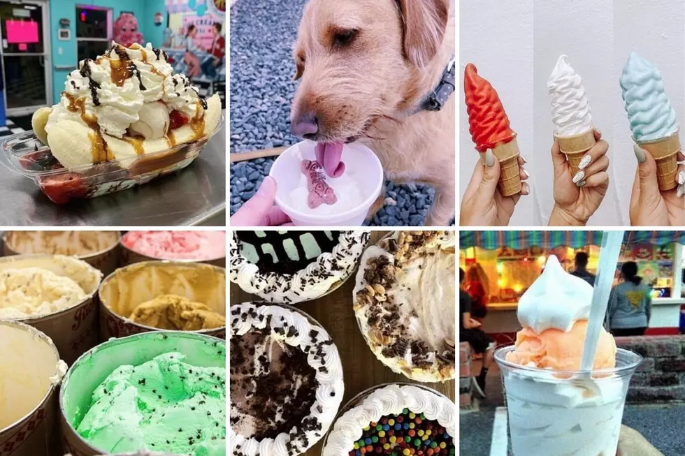 South Jersey's Very Best, Ultimate Ice Cream Guide