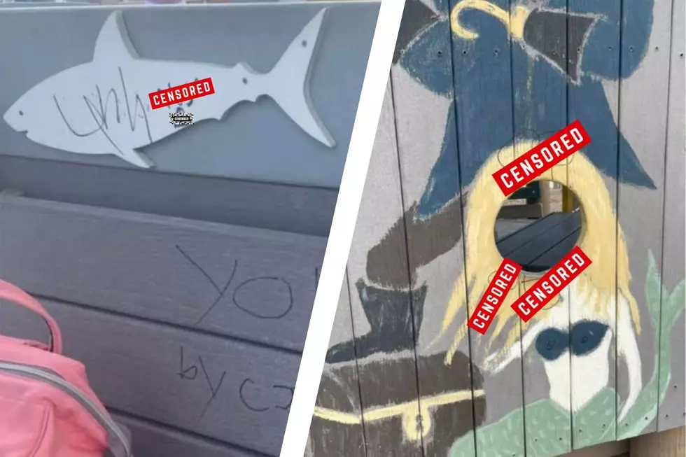 Who Graffitied Brigantine SharkPark? Reward Offered