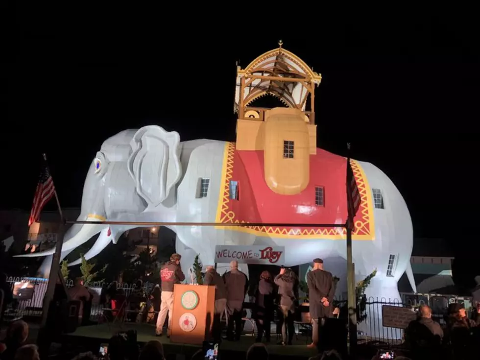 The Return of South Jersey&#8217;s Most Beloved Pachyderm