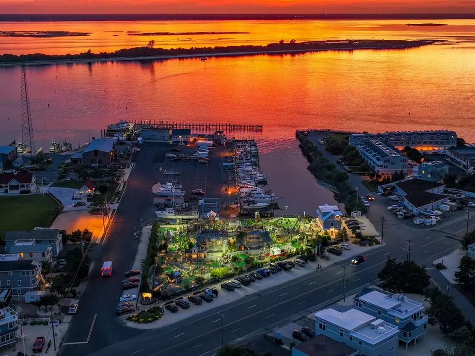 Popular Long Beach Island, NJ Attraction in Limbo After Owner’s Death