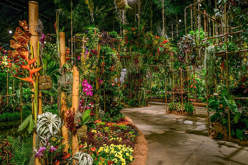 Philadelphia Flower Show Brings Out a New Colorful Display