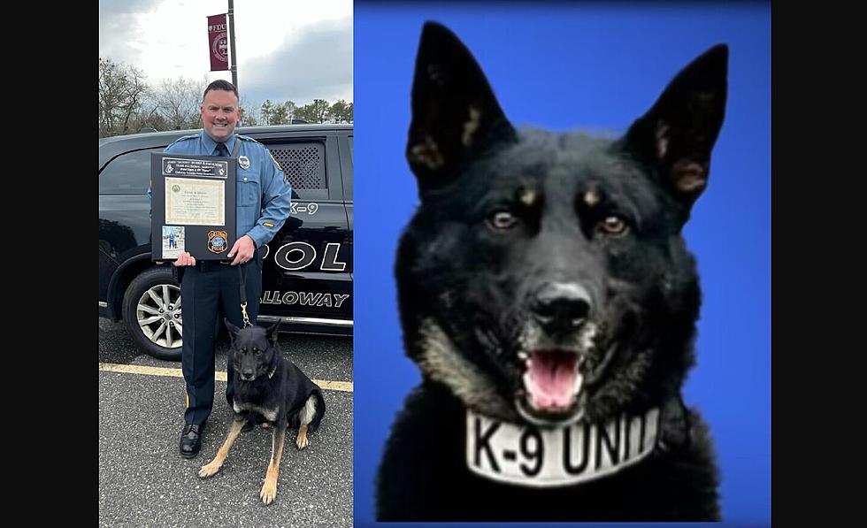 Rookie Galloway police K-9 makes drug bust on his first shift