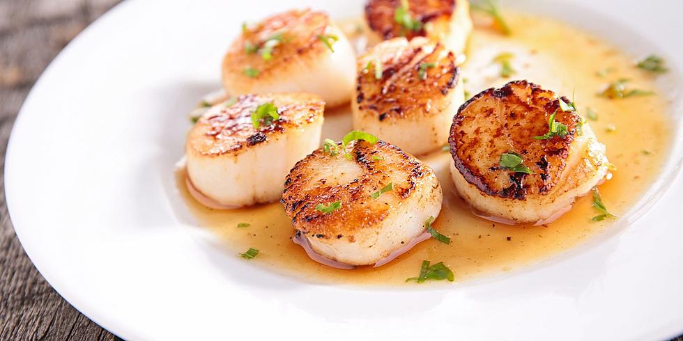 The Best Scallops in South Jersey