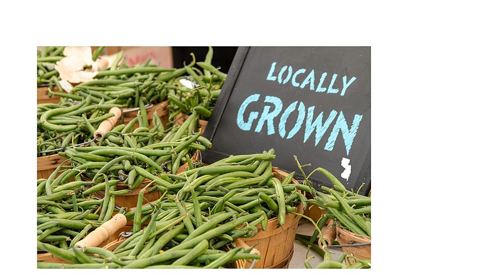List of South Jersey Farmers Markets You Need to Visit