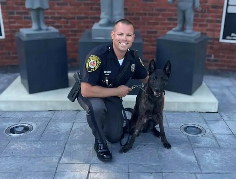 Stafford Township, NJ Police Mourn Passing of K-9 Raven