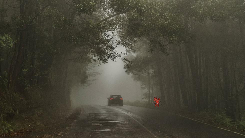 Is this South Jersey road the most terrifying in NJ?