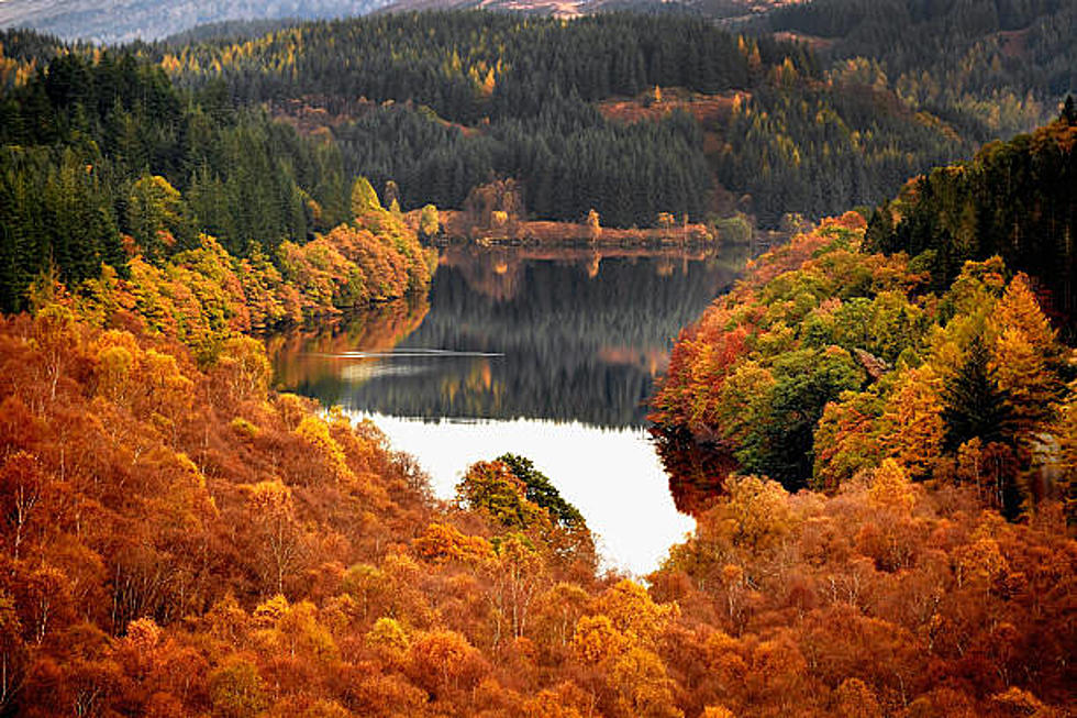 Fall Foliage Time in New Jersey