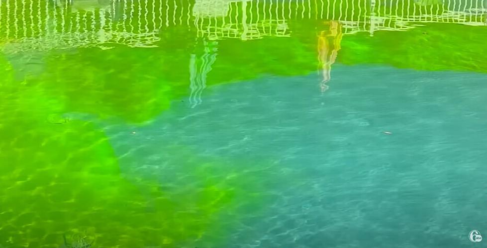 How They Solved Absecon’s Green Pool Dye Mystery