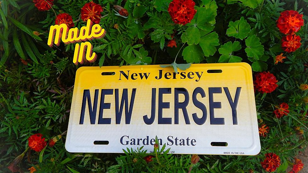 Made in New Jersey:  The Pride of NJ