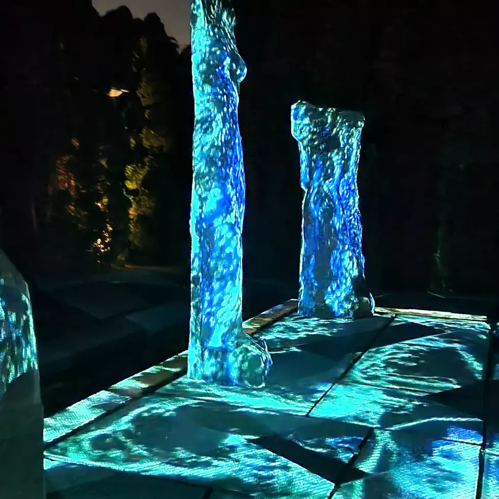 Grounds for Sculpture, Trenton NJ