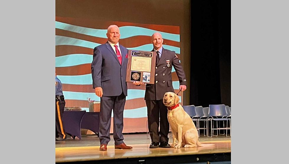 The Newest Firefighter on Vineland&#8217;s Arson Squad is a Dog