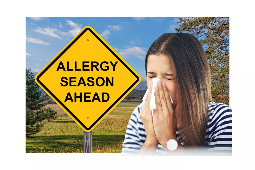 Surviving New Jersey&#8217;s Spring Allergy Season