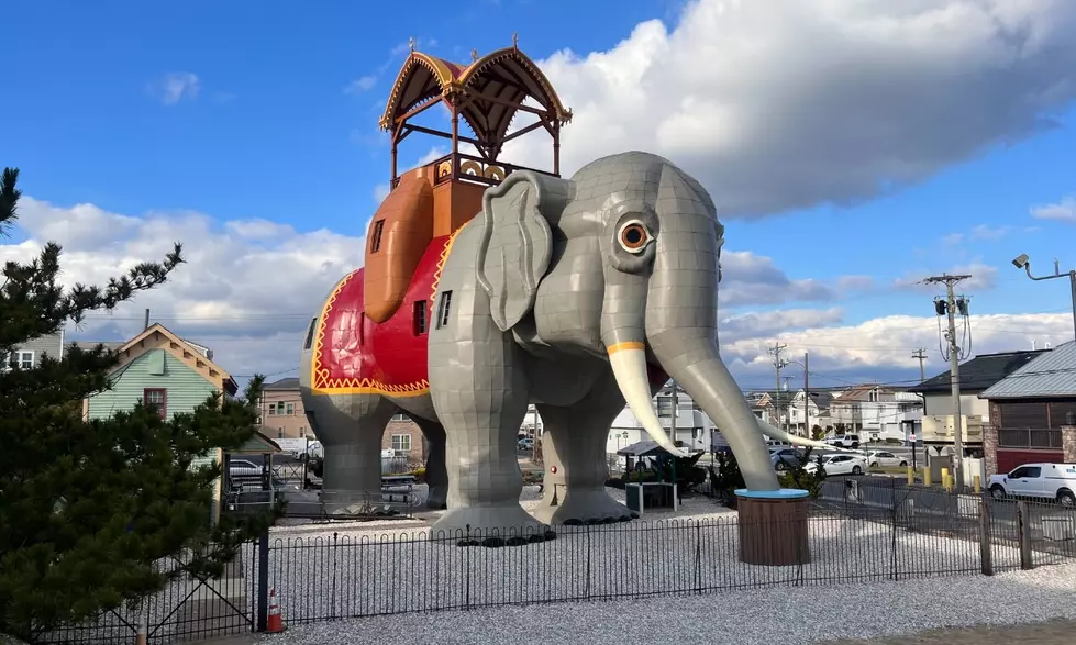 VOTE: Lucy the Elephant Competing For Top 10 Roadside Attraction