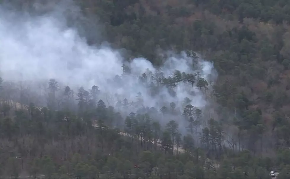 Crews Battling 300-Acre Wildfire in Wharton State Forest 