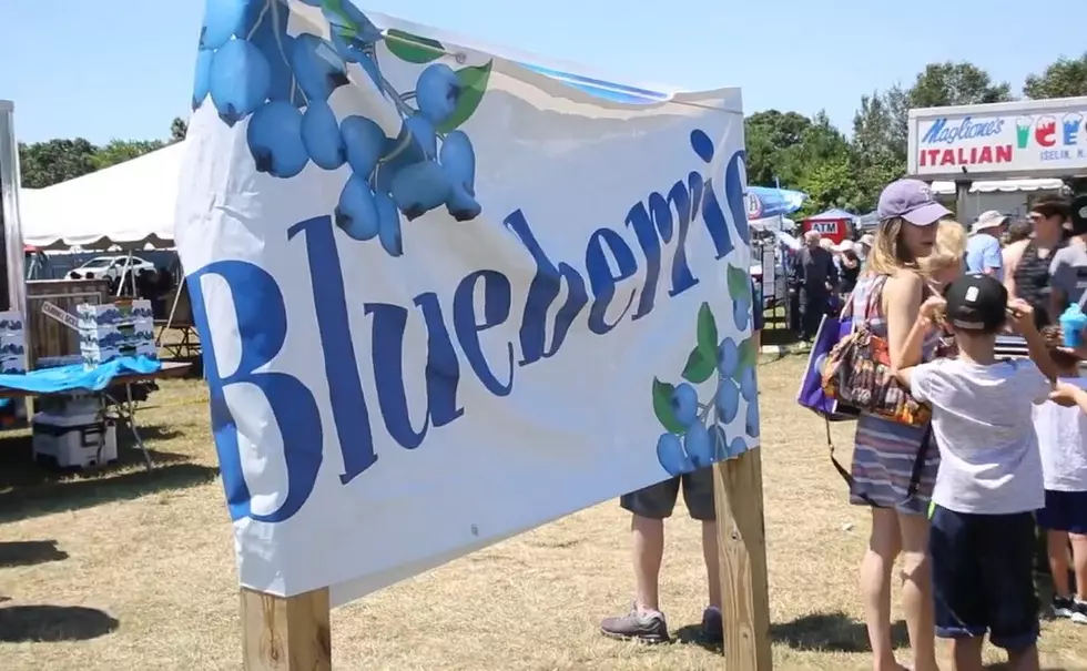 It’s all about blueberries and fun Sunday in Hammonton, NJ