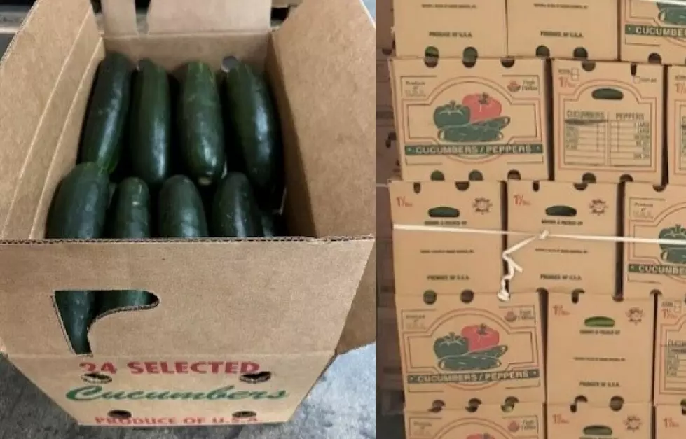 These Cucumbers Sold in New Jersey Could Make You Sick