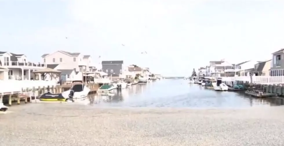 Fish Kill in LEH Twp Lagoon: ‘Worst Smell in My Entire Life’