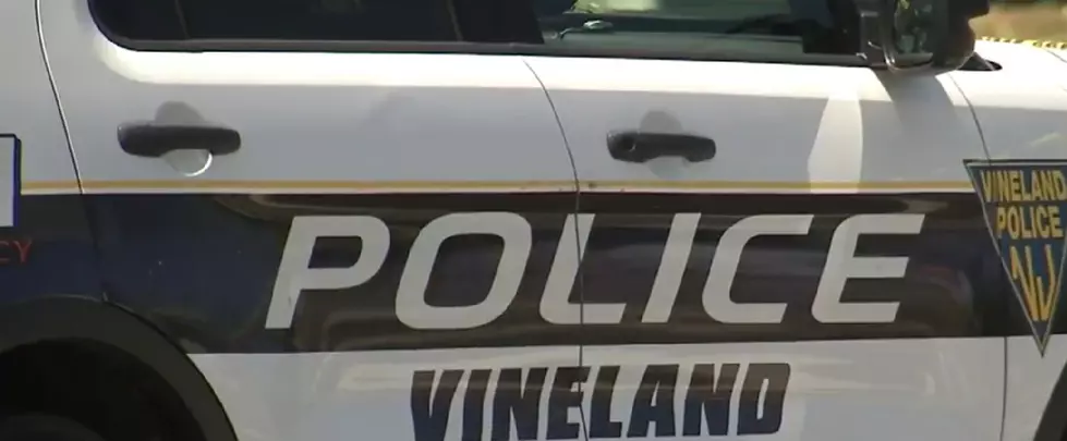 Vineland Police Chief Charged With Assault, Suspended