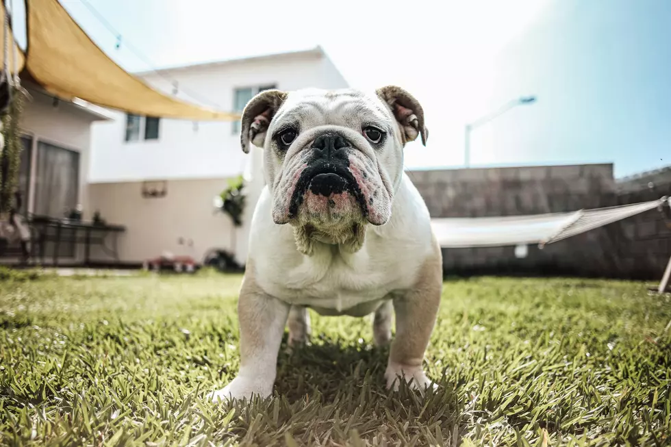 Photo by Josue Michel on Unsplash