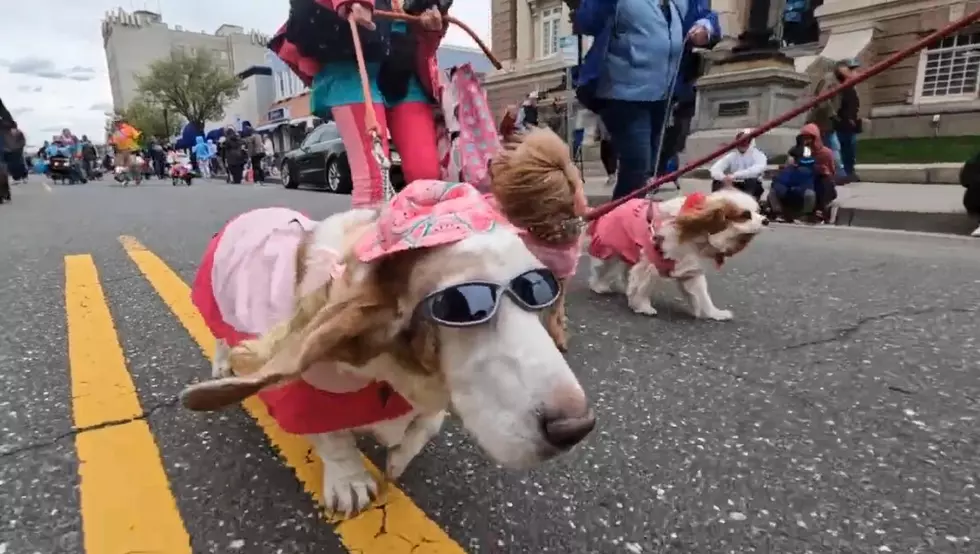 Ocean City Picks Former Phillie Pitcher to Lead Doo Dah Parade