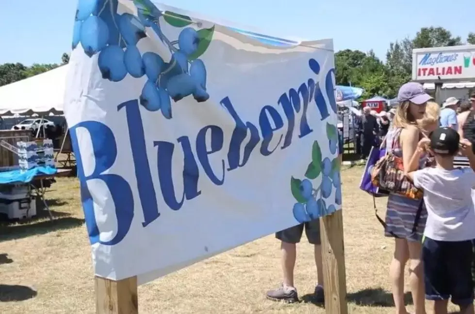 Hammonton’s Red, White & Blueberry Festival Returns Sunday
